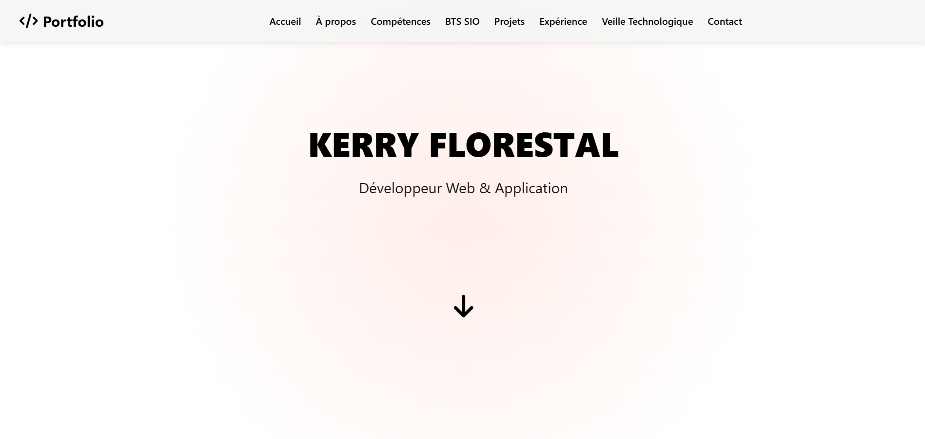 Portfolio Project